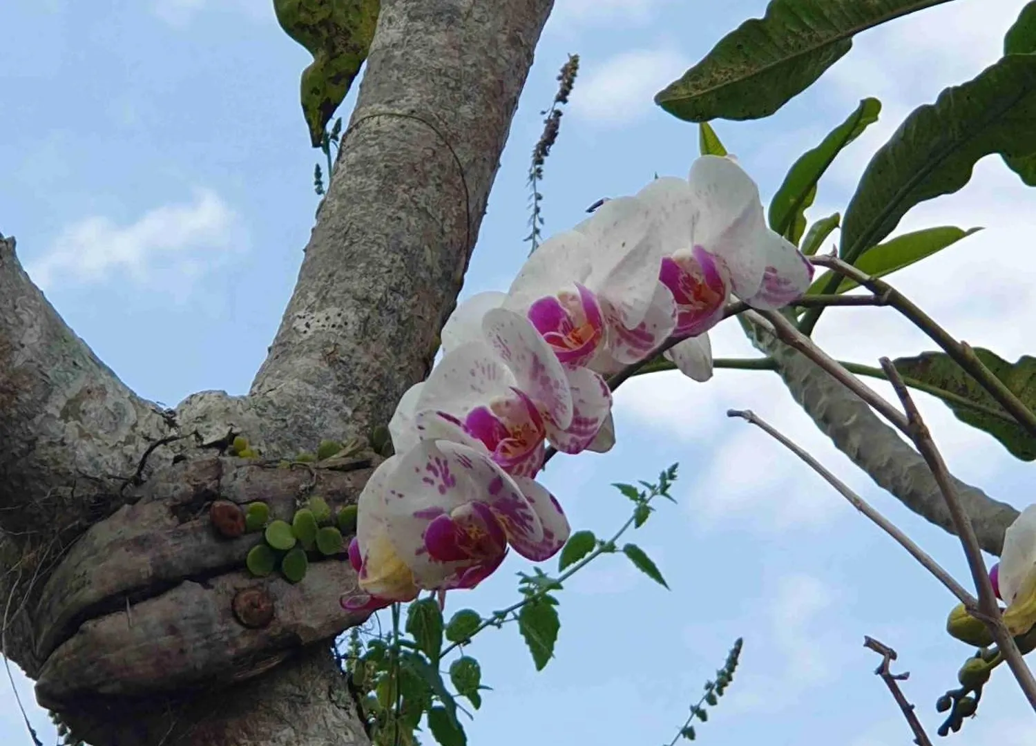 Holiday home Gana Bali Homestay Ubud